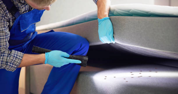 Flea Control Services in Catawba, SC